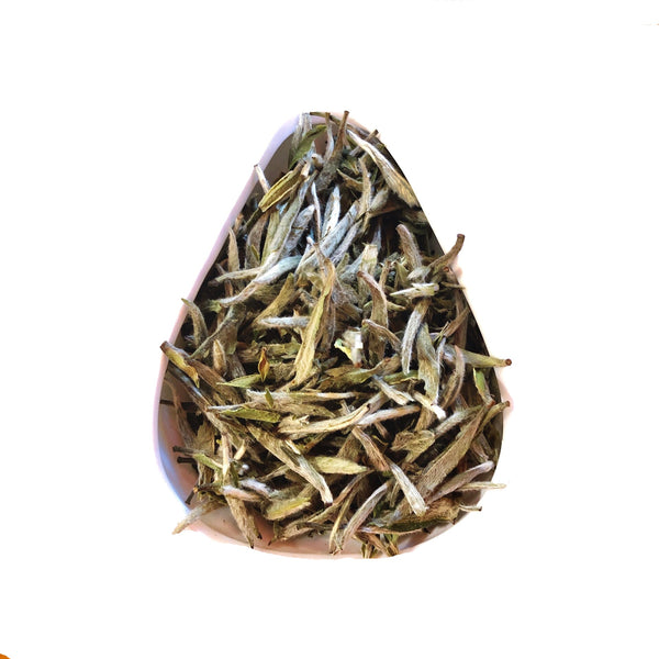 Silver Needle White Tea (Bai Hao Yin Zhen)
