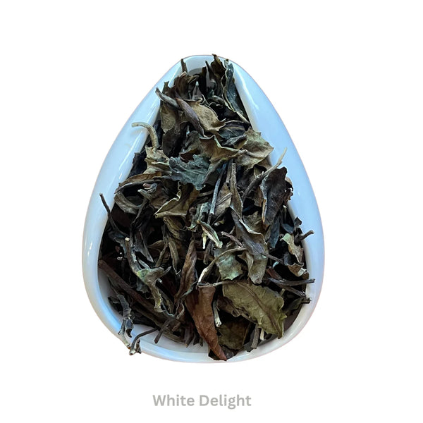 White Delight White Tea |Tea Bag 20 Pack