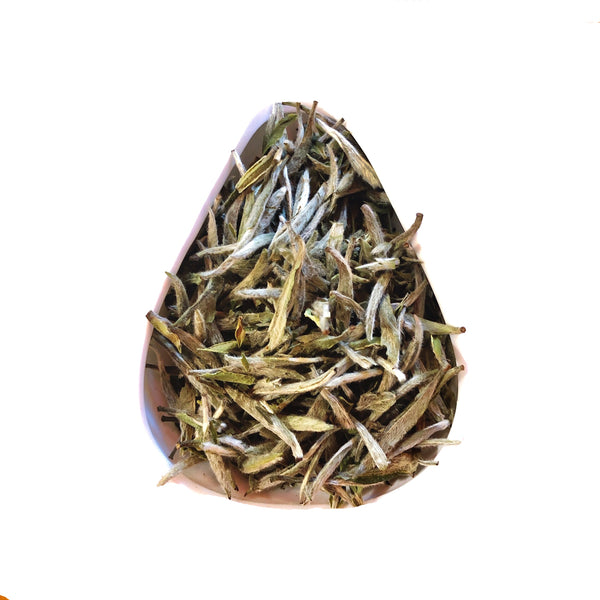 Silver Needle White Tea （Bai Hao Yin Zhen)