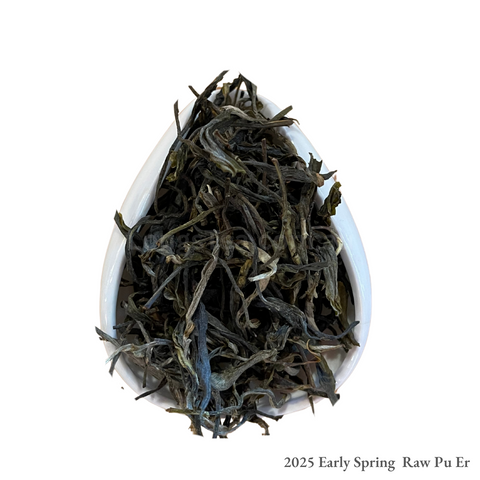 Early Spring Raw Pu Er (2025)