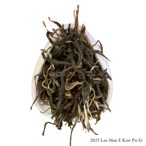 Lao Man E Raw Pu Er (2025)