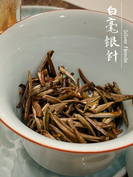 Silver Needle White Tea （Bai Hao Yin Zhen)