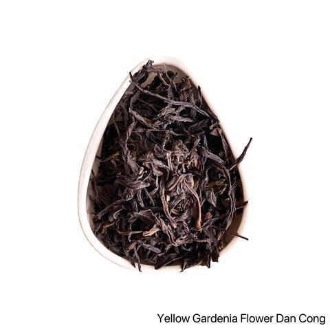 Yellow Gardenia Flower DanCong (Huang Zhi Xiang)